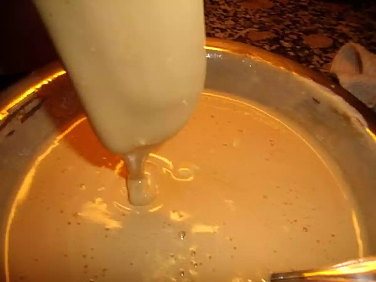 COPA DE BABA DE CAMELLO (CAMELO ) PORTUGUÉS - foto 3