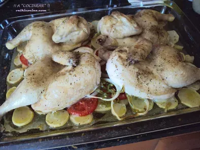 Coquelet o pollo tomatero al horno con guarnicion, foto 3