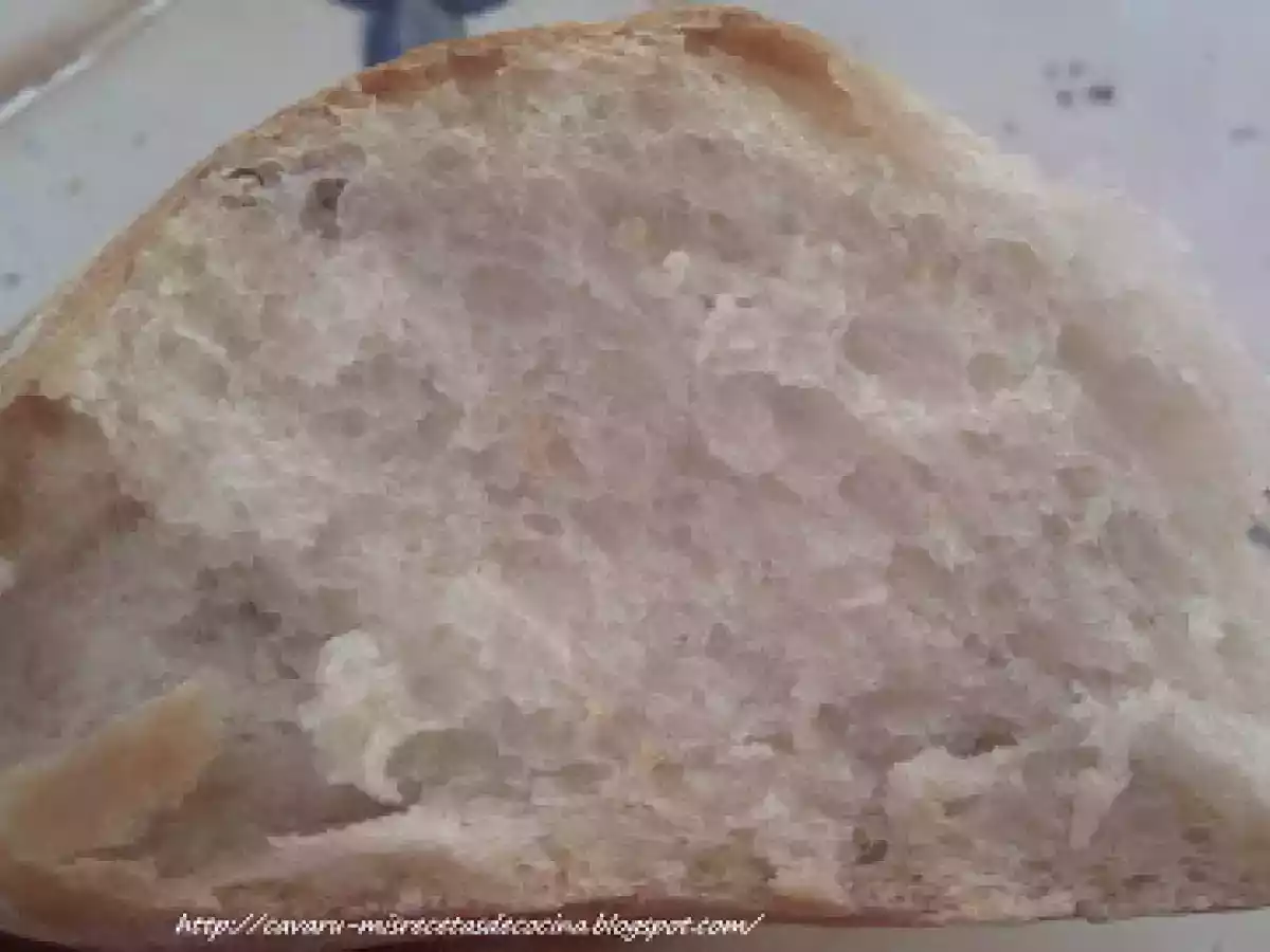 Corona Bordelesa - foto 10