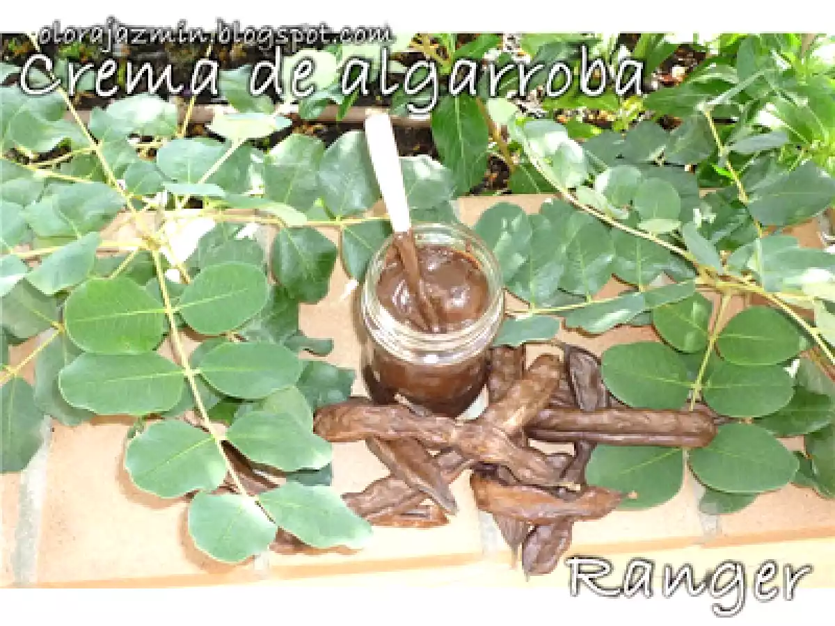 Crema casera de algarroba o cacao