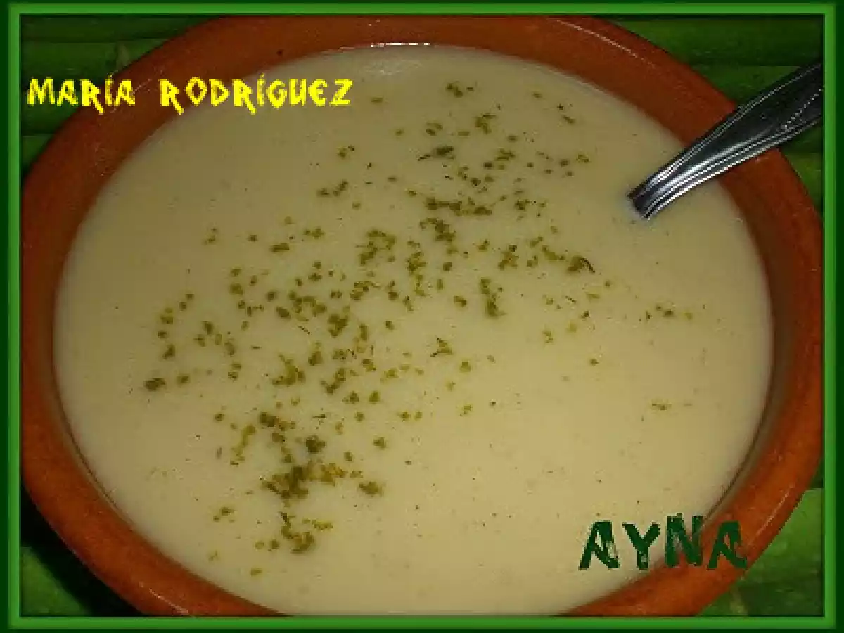CREMA DE CALABACÍN(FUSSIONCOOK)