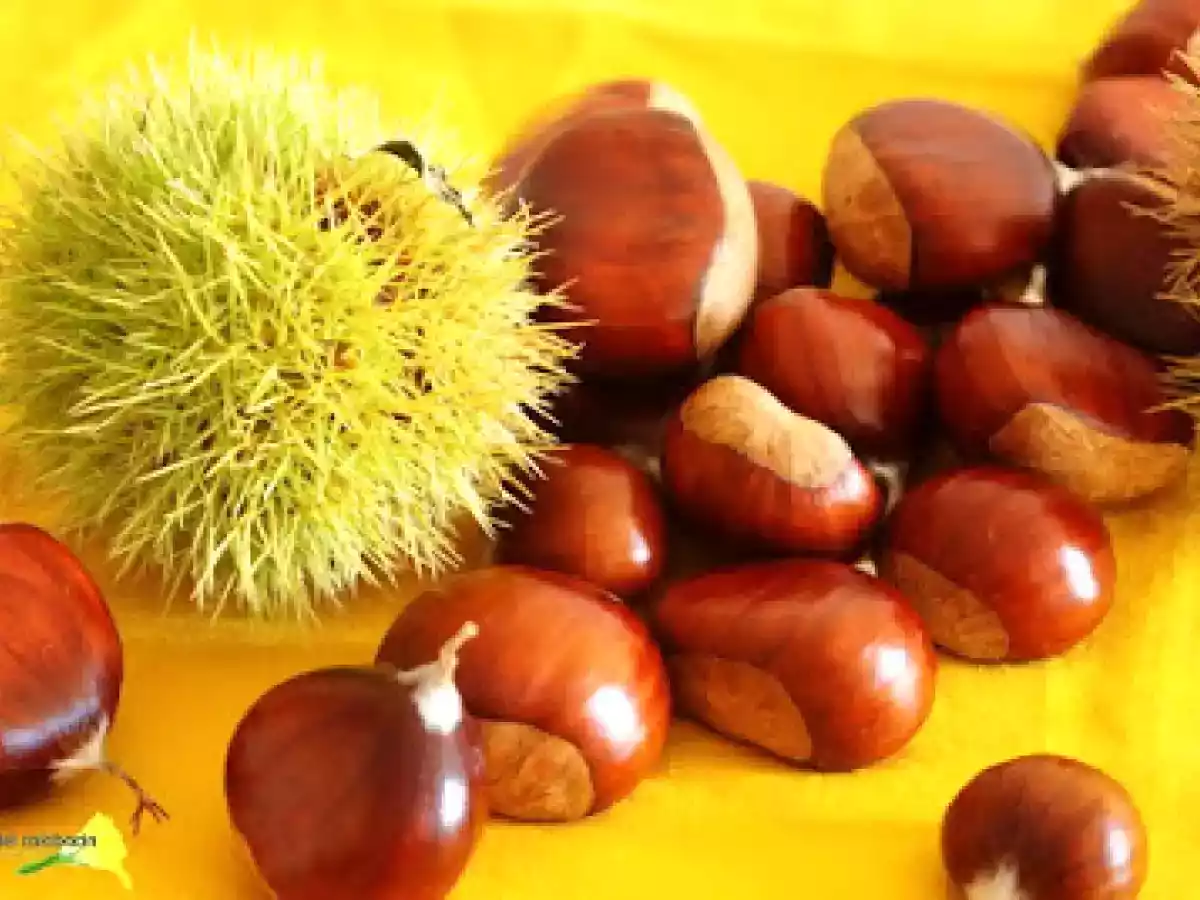 Crema de calabaza potimarron y castañas - foto 2