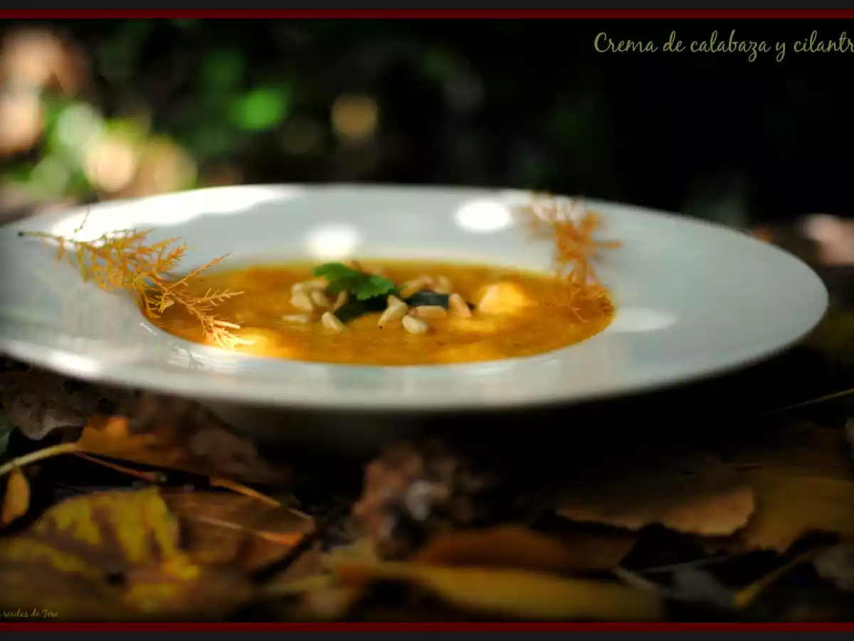 Crema de calabaza y cilantro