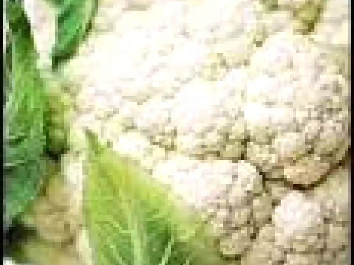 Crema de coliflor con queso parmesano