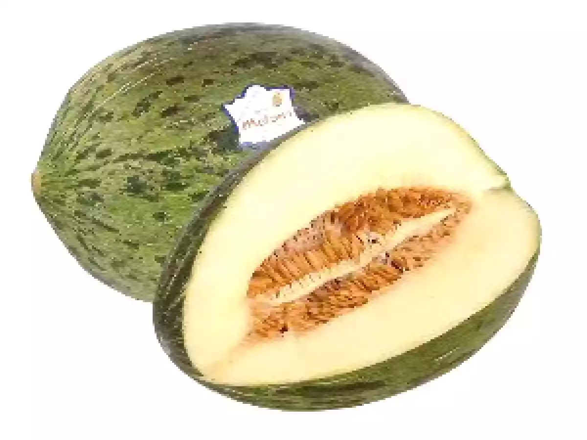 Crema de Melón y Yoghurt con Crujiente de Jamón Serrano - foto 3