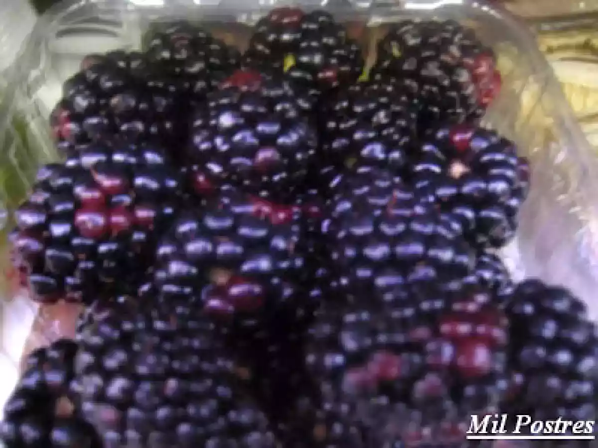 Crema de moras, yogur y queso crema - foto 3