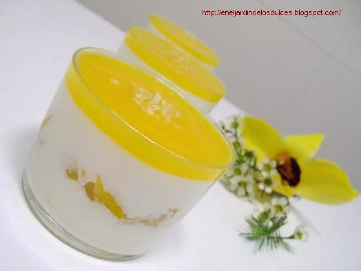 Cremoso de yogurt con coulis de melocotón - foto 2