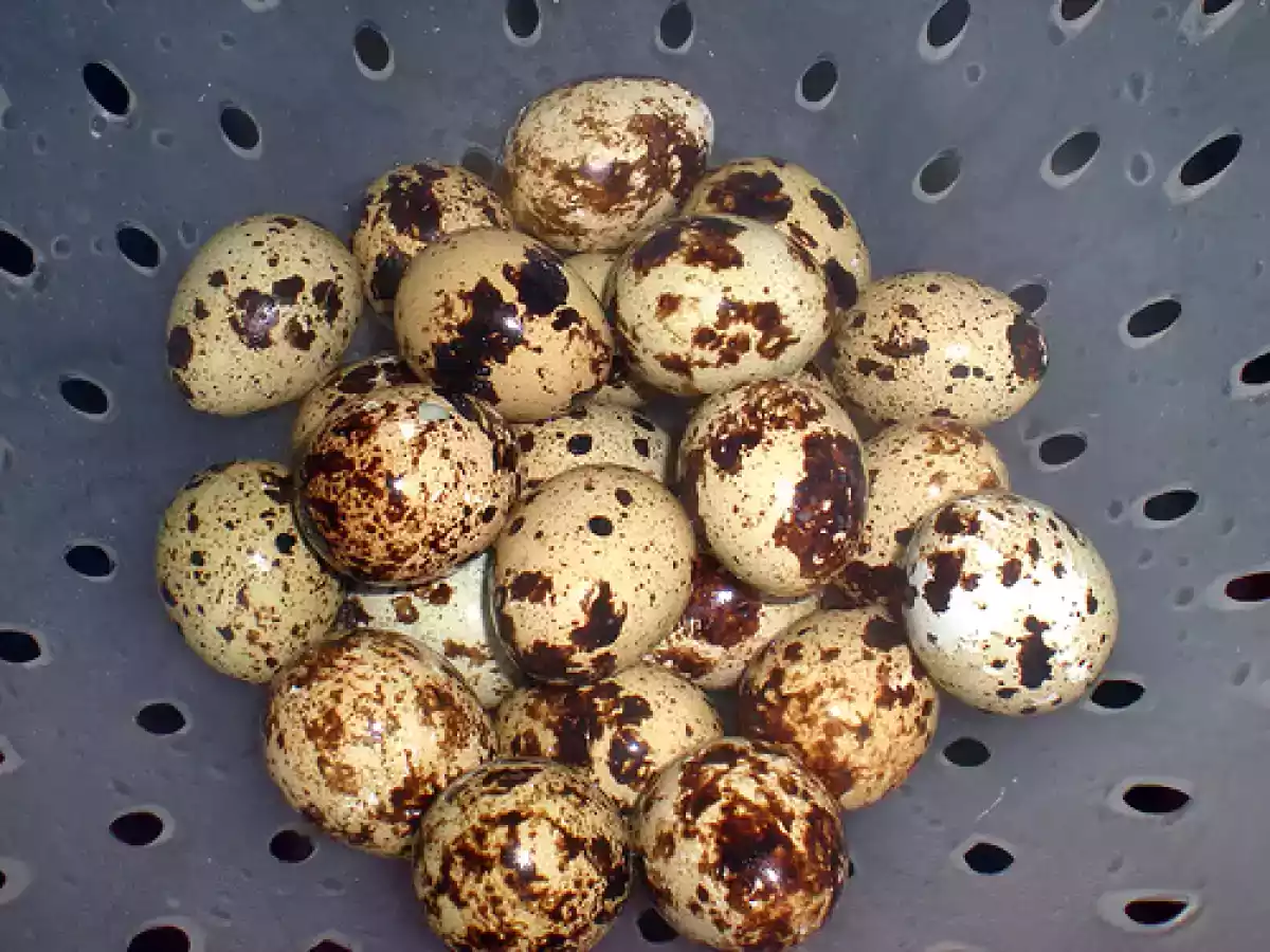 Croquetas de cebolla caramelizada y membrillo - foto 3