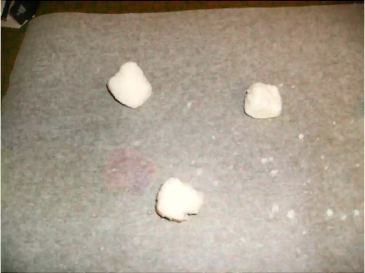 CRUJIENTES DE COCO, CON COCO RALLADO - foto 6