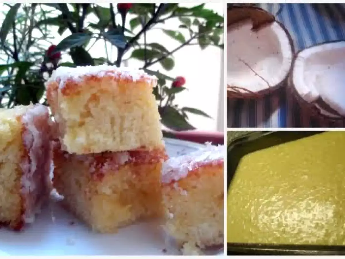 CUADRADOS DE COCO - foto 2