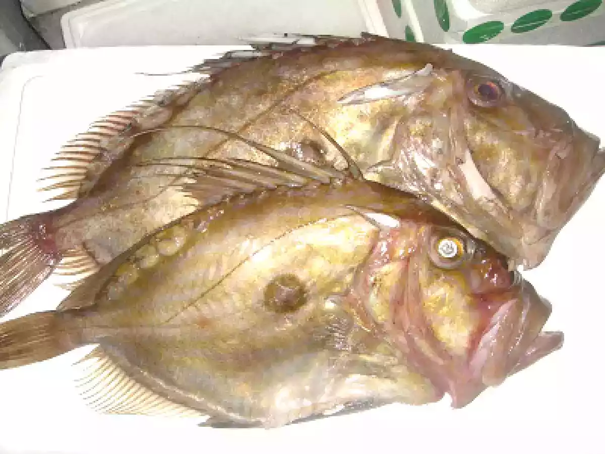 Cuajadera de gallopedro