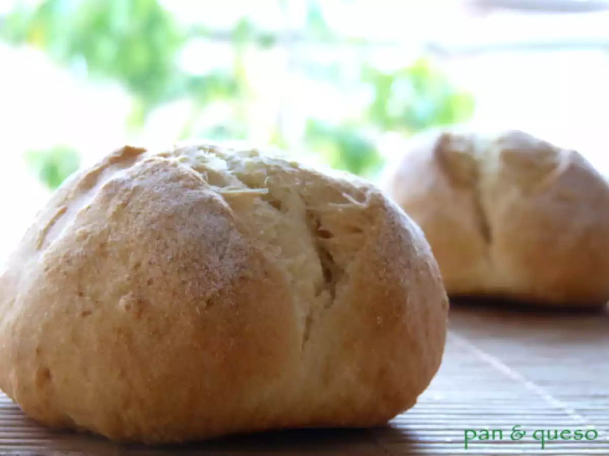 DAMPER, PAN AUSTRALIANO