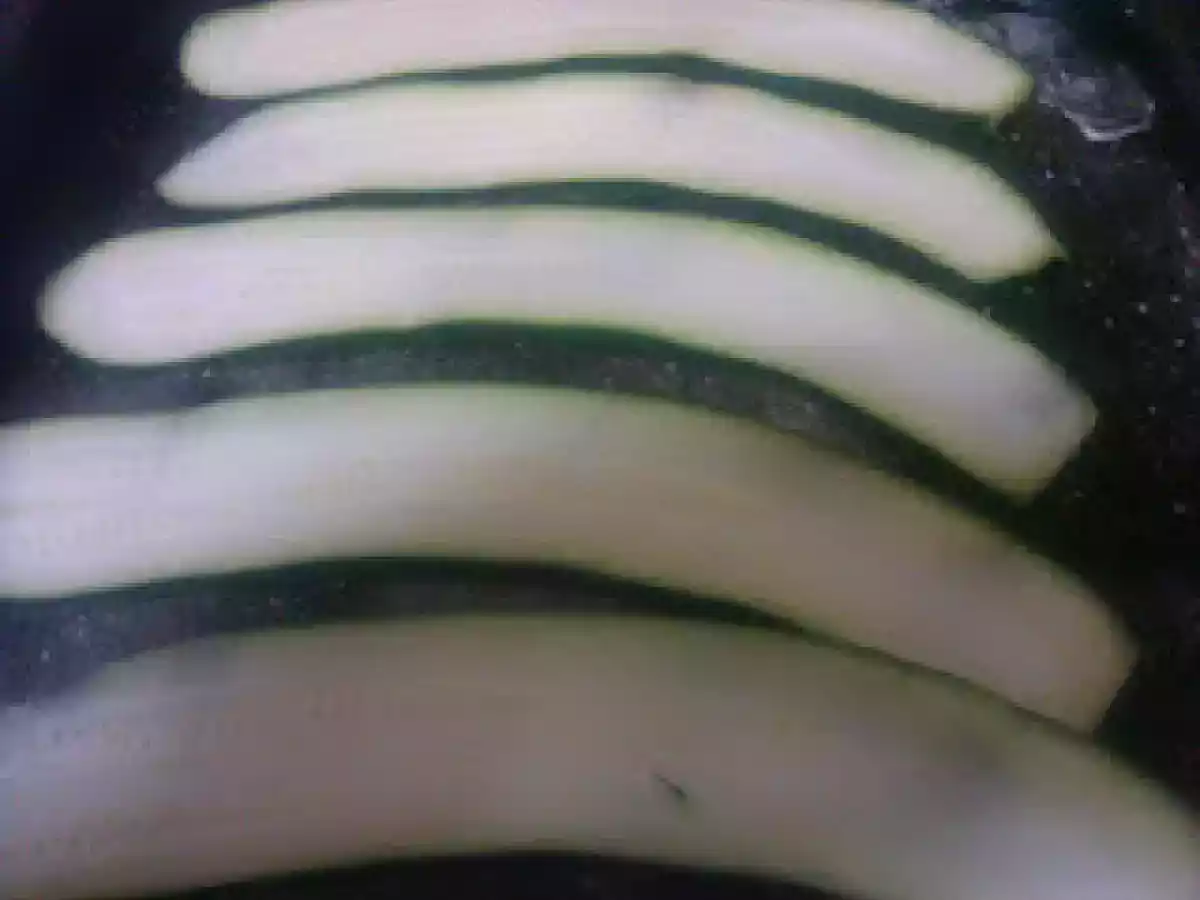 Delicias frías de calabacín con atún y maíz