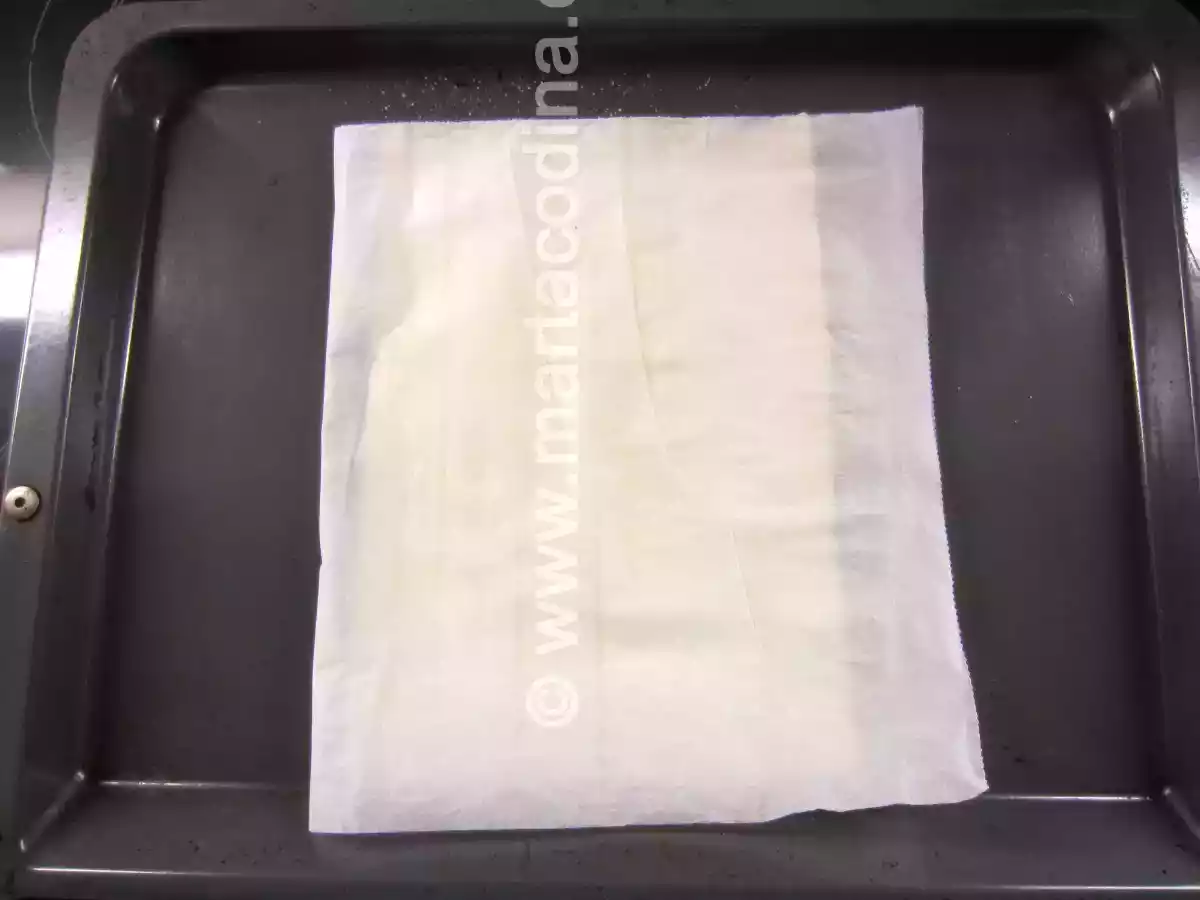 Diplomátics - foto 5