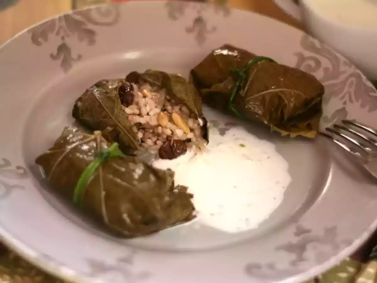 Dolmades con salsa Tzatziki casera - foto 2