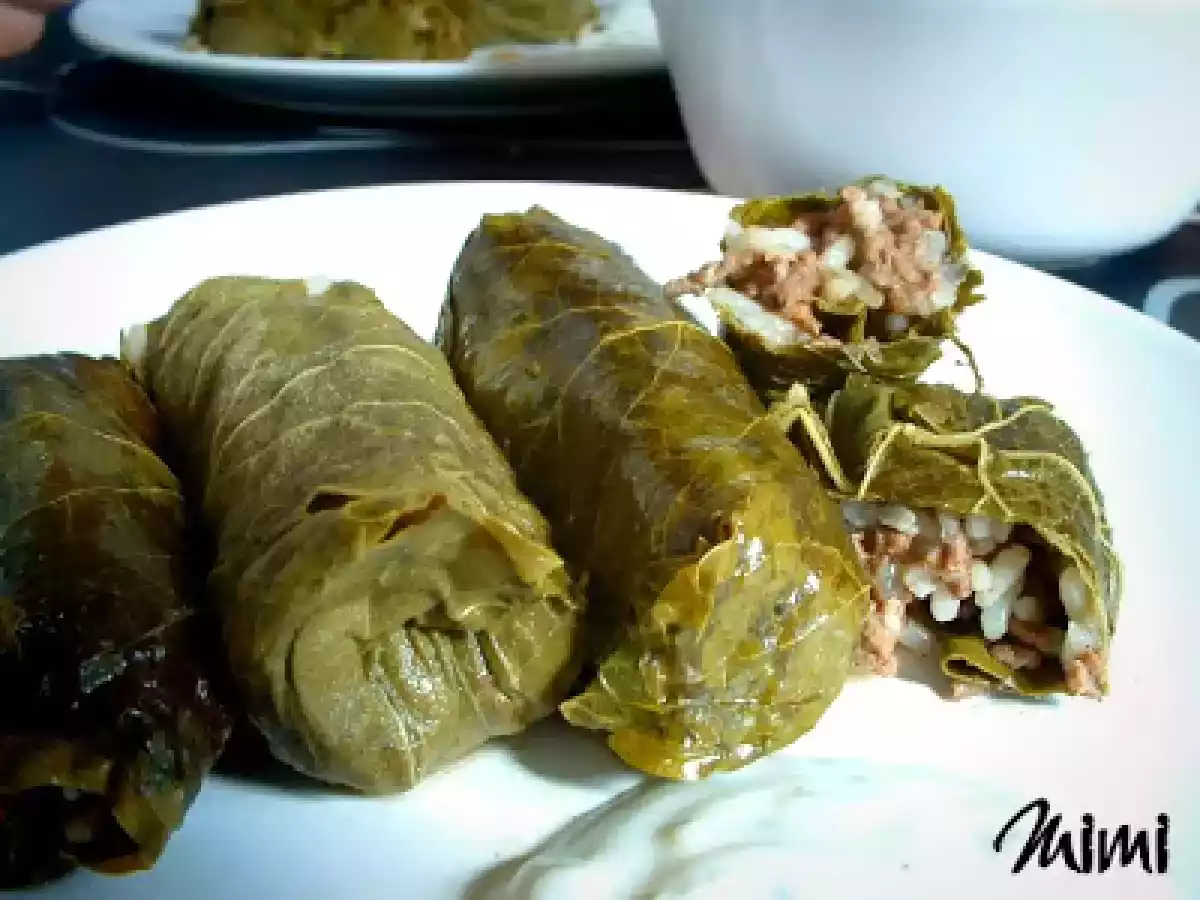 Dolmades de hojas de vid a la griega