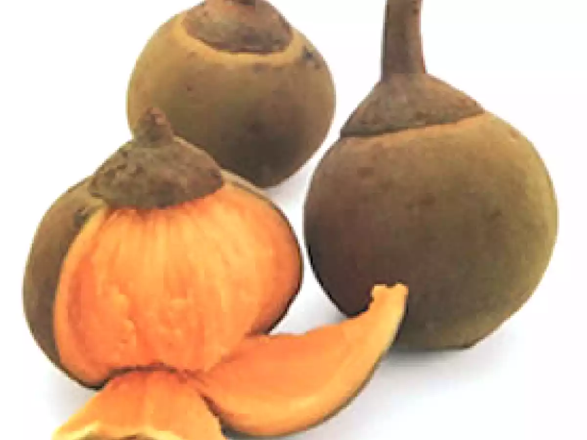 Dulce de zapote - guatemala