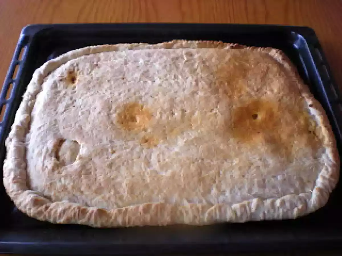 Empanada de carne picada de cerdo - foto 8