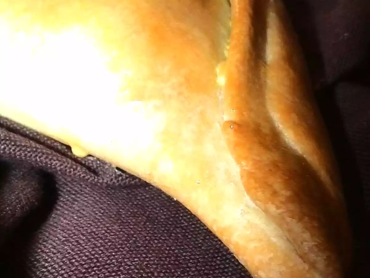 Empanadas Chilenas de Horno - foto 2