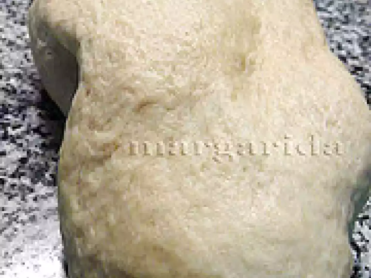 Empanadas de carne y verdura - foto 6