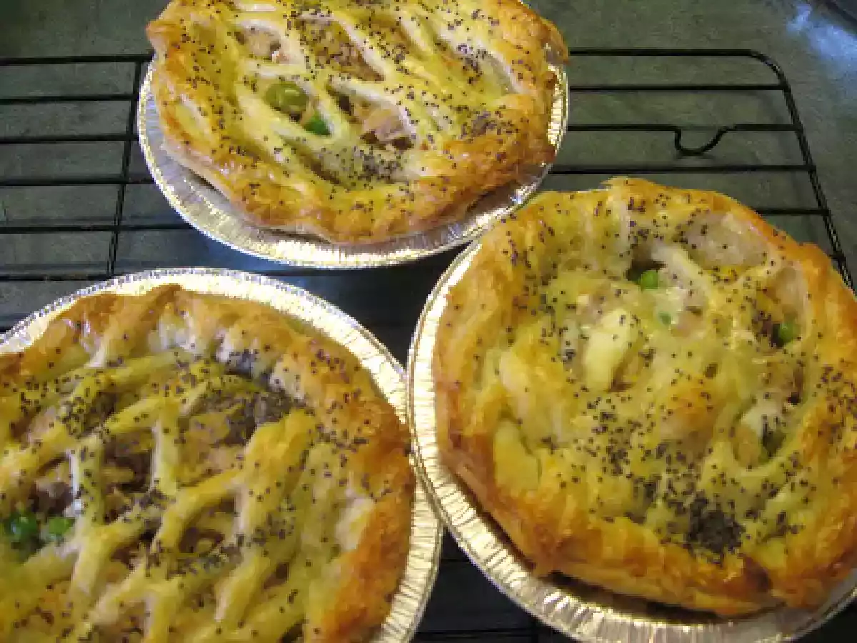 Empanaditas y pastelitos individuales de atun - foto 2