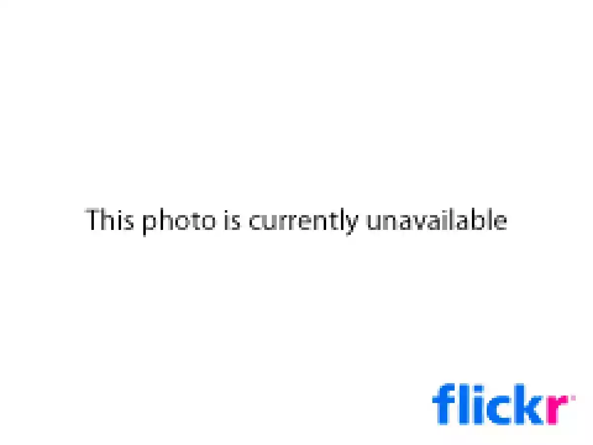 En Ponce le decimos Domplines - foto 2