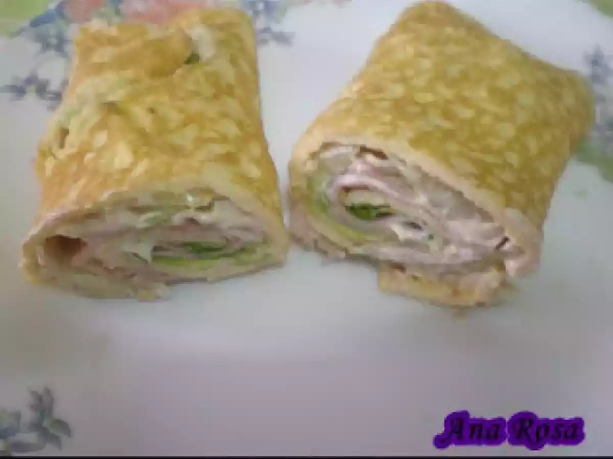 ENROLLADOS DE TORTILLA