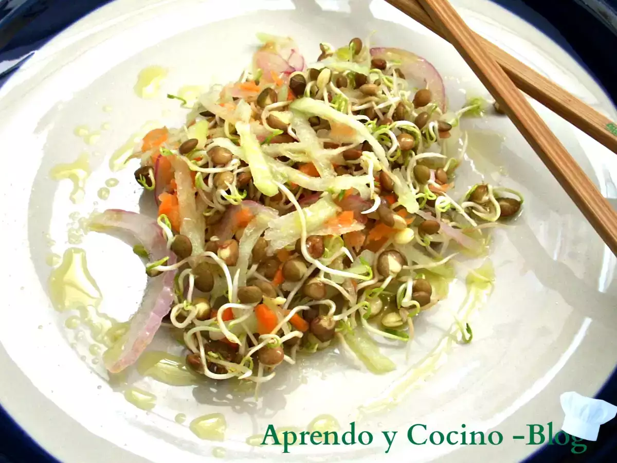 Ensalada Crujiente Colorina