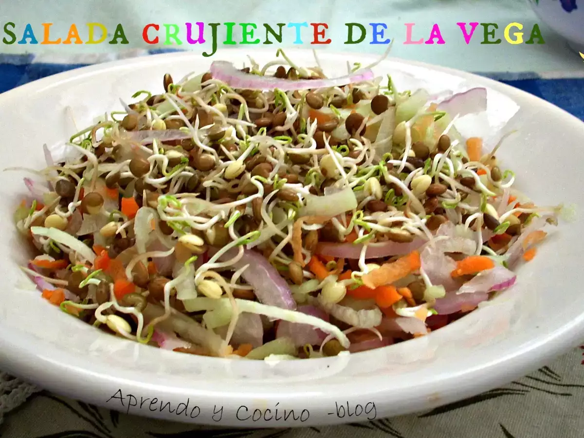 Ensalada Crujiente Colorina - foto 2