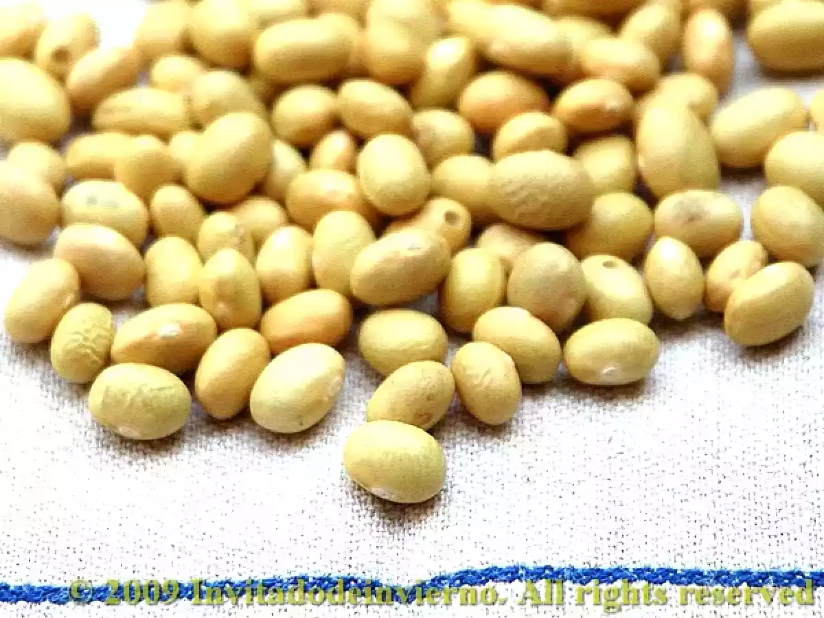 Ensalada de alubias con salmón ahumado