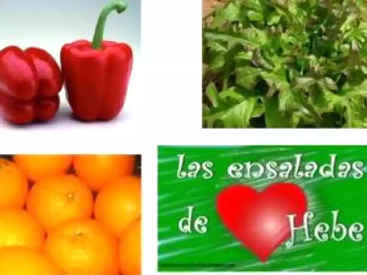 ensalada de pimiento rojo y naranja