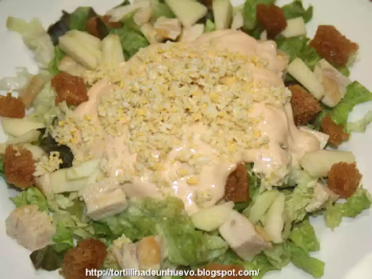 Ensalada de pollo y manzana con salsa rosa