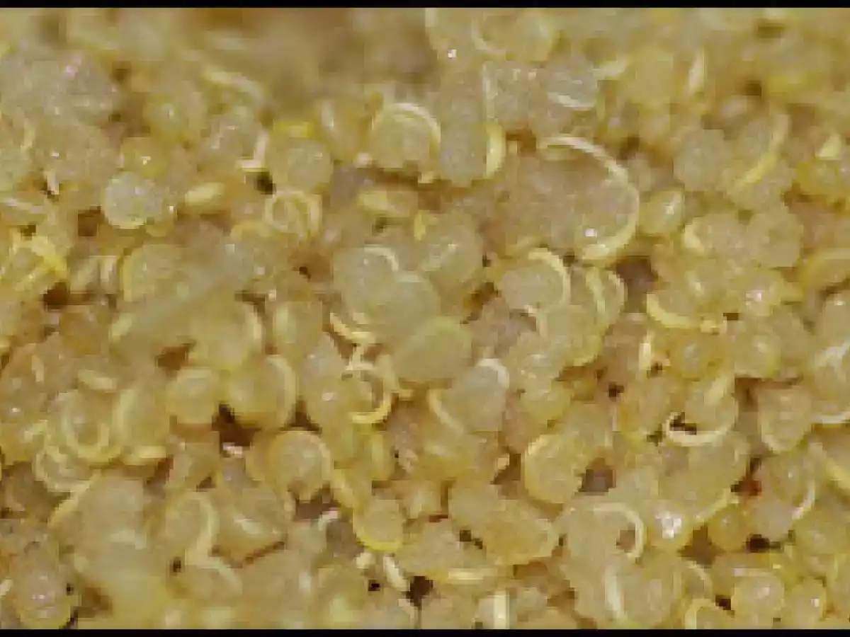 Ensalada de quinoa, cebolleta, tomate y eneldo - foto 4