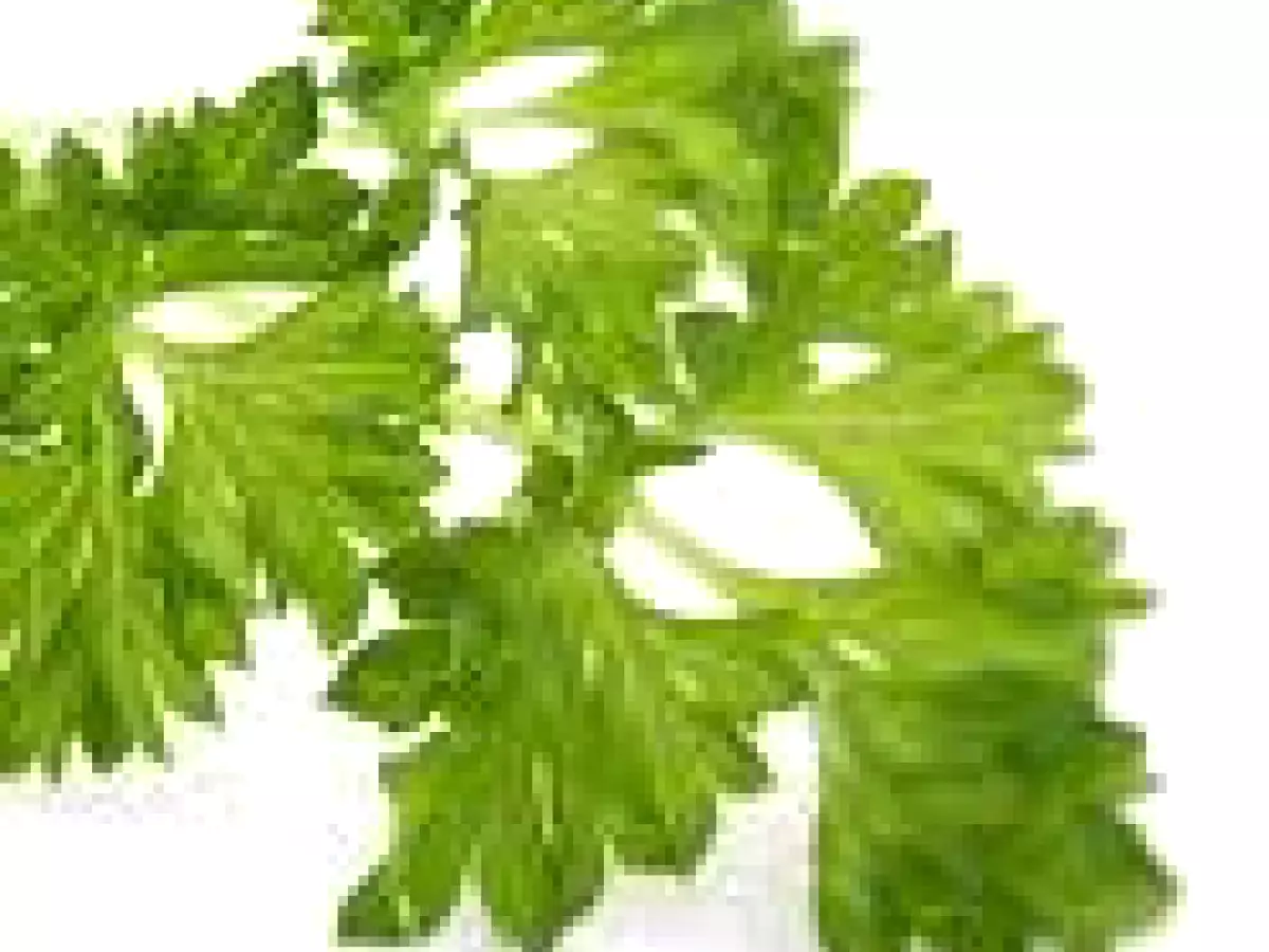 Ensalada de verduras, pollo y mayonesa - foto 10