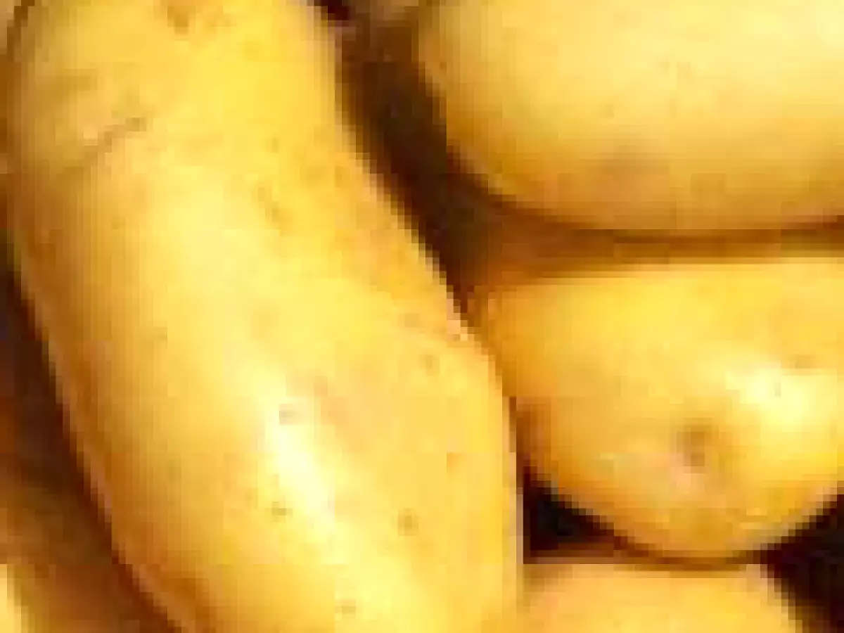 Ensalada de verduras, pollo y mayonesa - foto 11