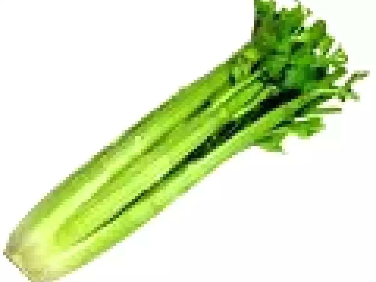 Ensalada de verduras, pollo y mayonesa - foto 12