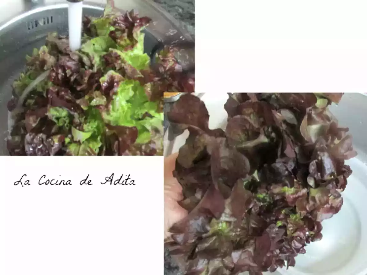 Ensalada flor con lechuga de roble - foto 3
