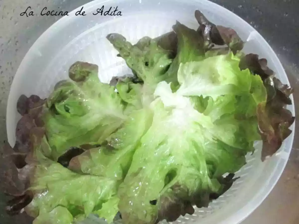 Ensalada flor con lechuga de roble - foto 4