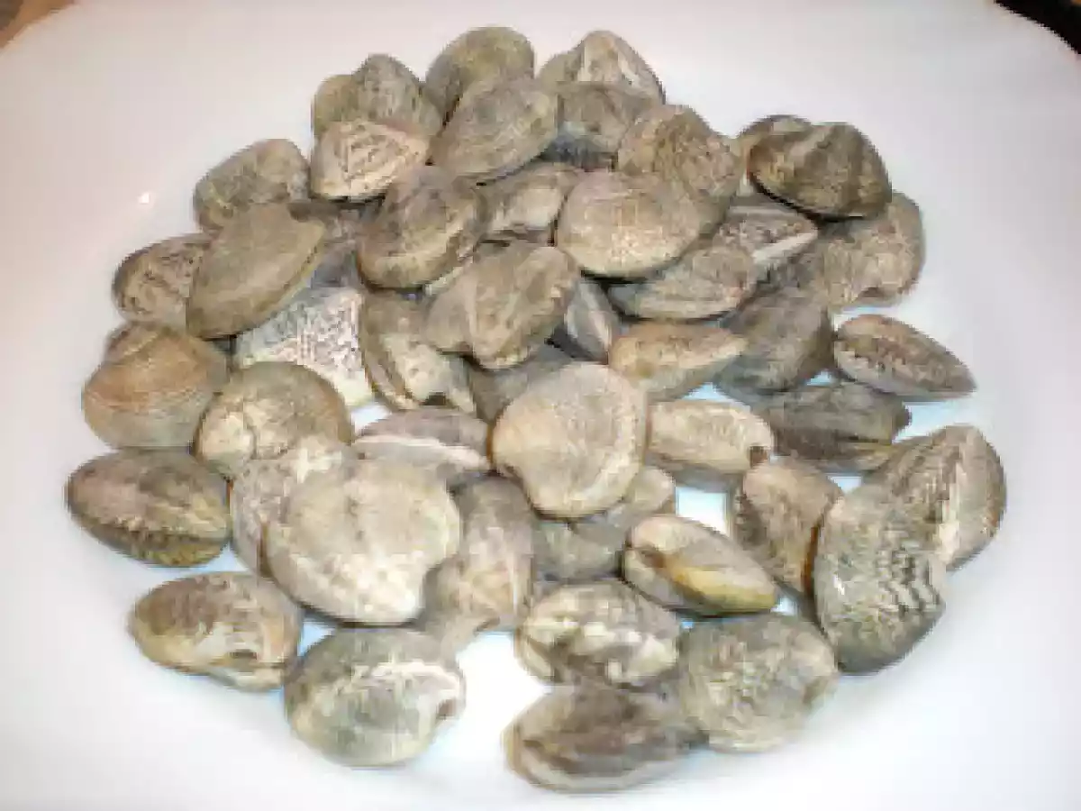 Espaguetis con setas y chirlas - foto 8