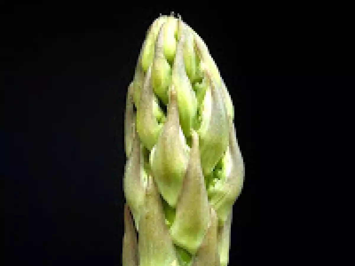 ESPÁRRAGOS A LA VINAGRETA DE FRESAS