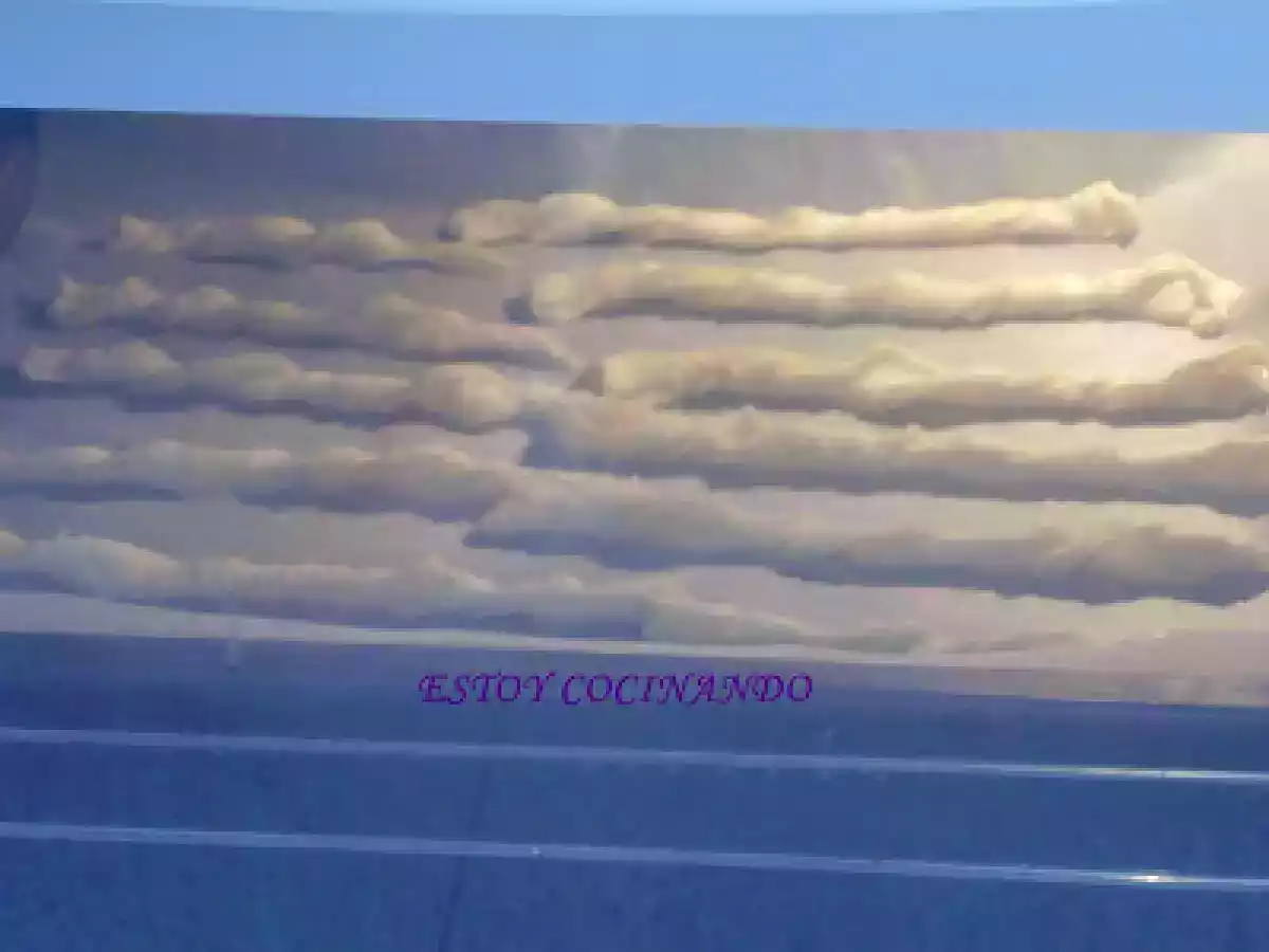 Espirales de queso parmesano - foto 3