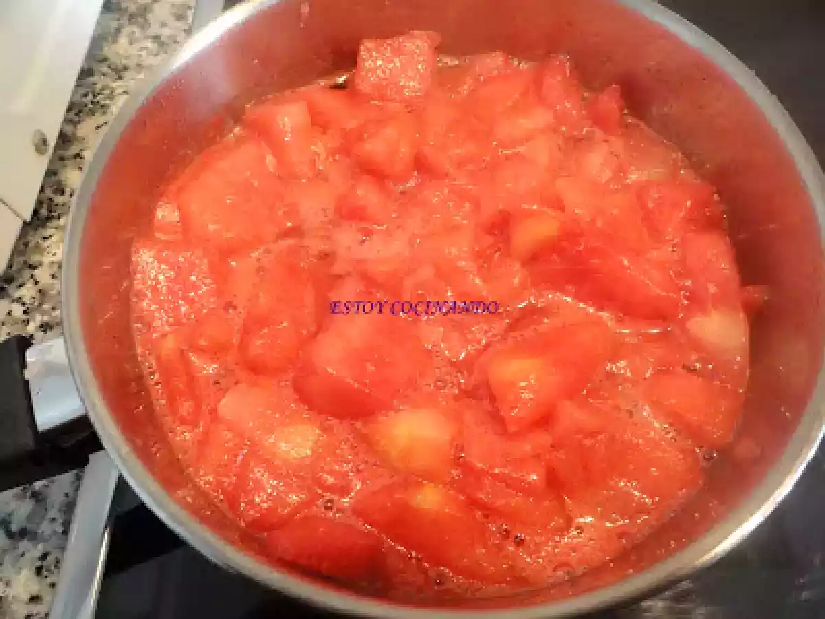 Espuma de sandía - foto 2