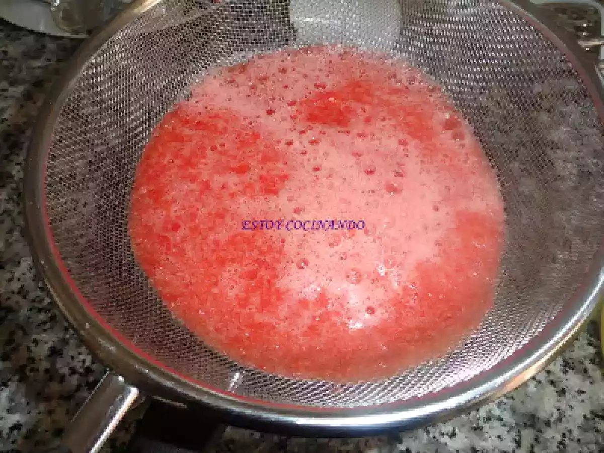 Espuma de sandía - foto 3