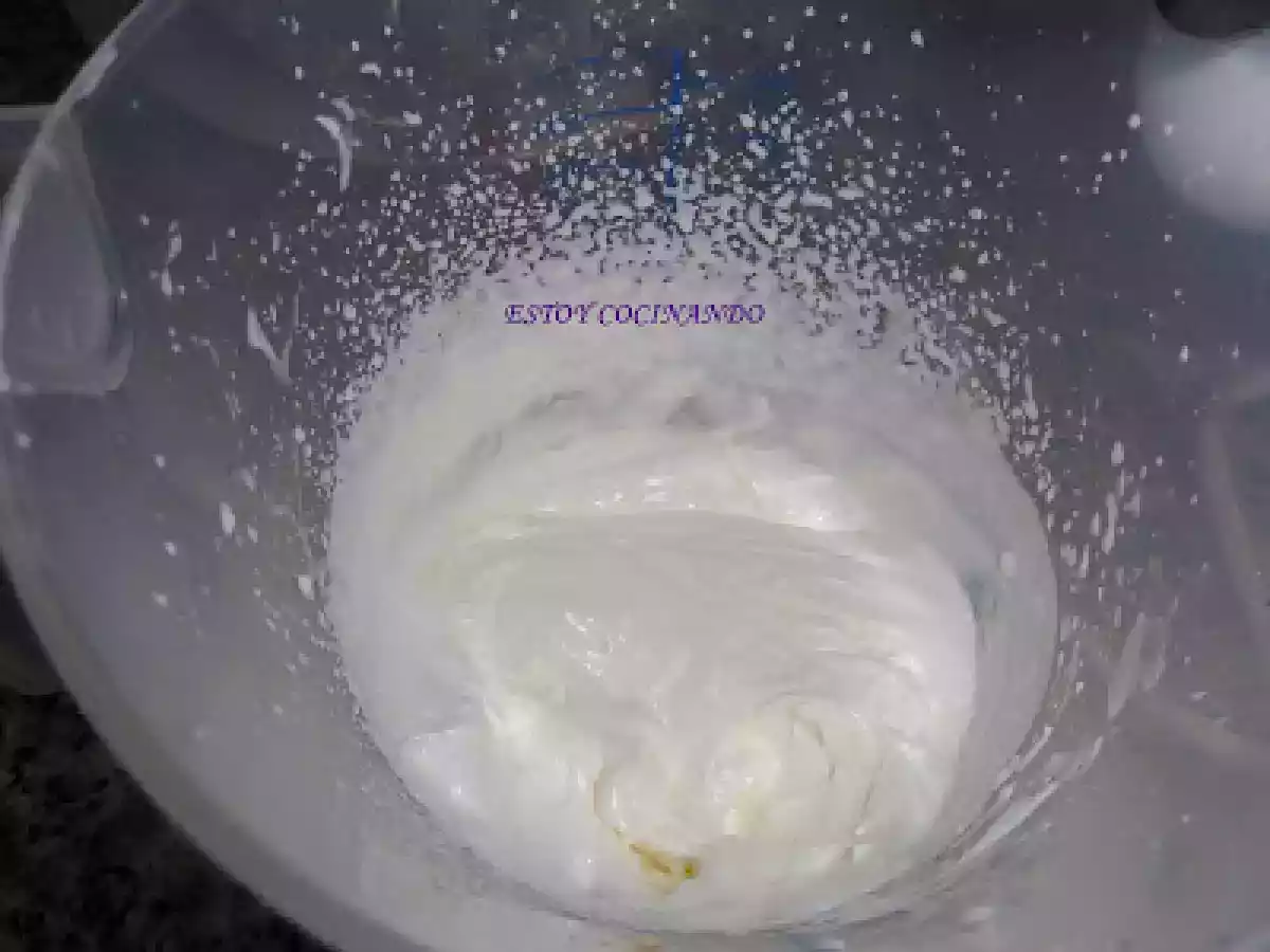 Espuma de sandía - foto 4