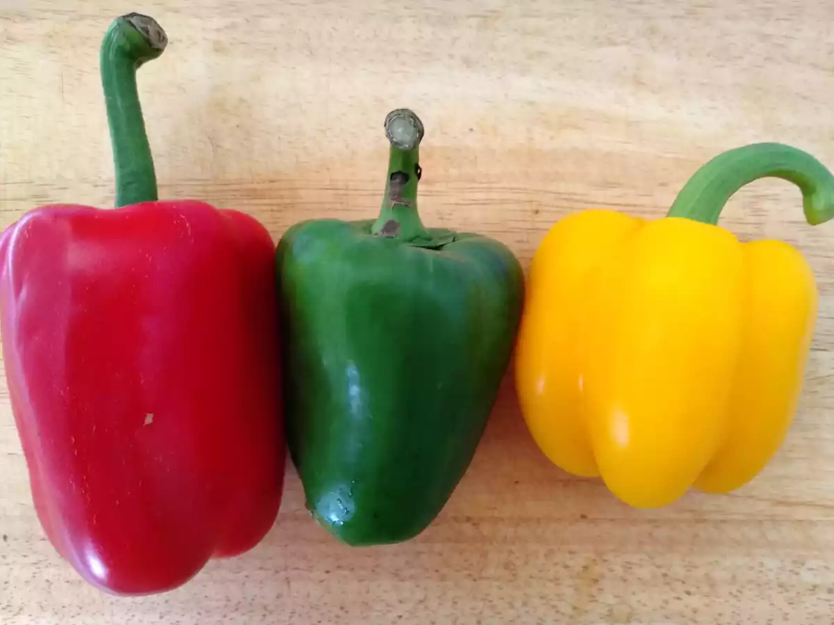 Fajitas de pollo - foto 3