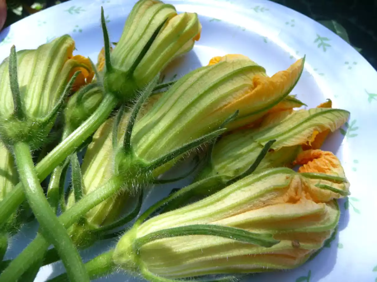 Flores de calabaza fritas - foto 4