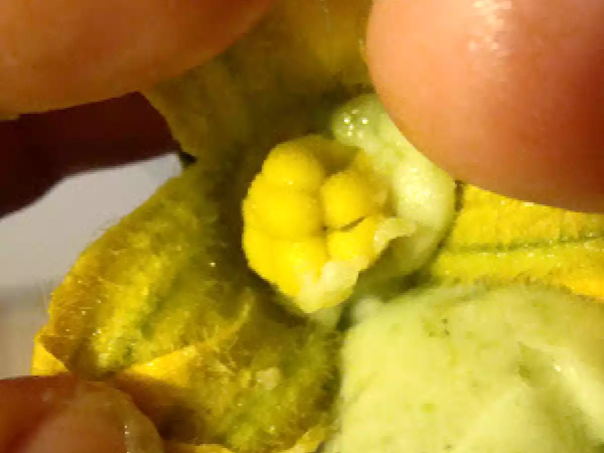 Flores de Zucchini Rellena Estilo Genovese.....y Bendiciones Para Mayte..... - foto 8