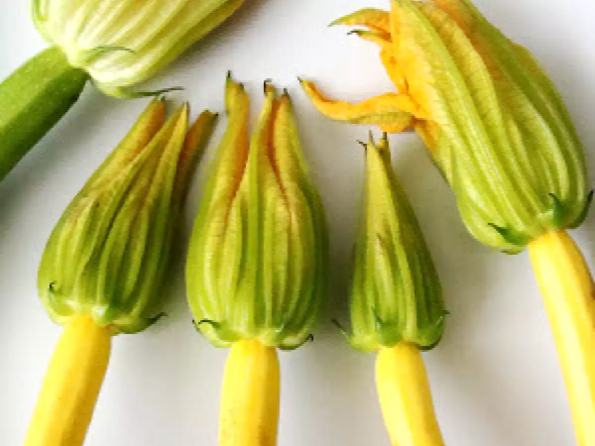 Flores de Zucchini Rellena Estilo Genovese.....y Bendiciones Para Mayte..... - foto 13