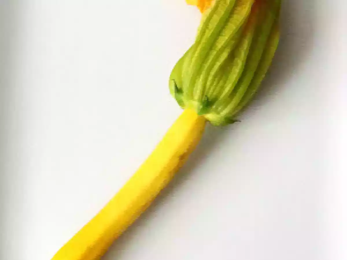 Flores de Zucchini Rellena Estilo Genovese.....y Bendiciones Para Mayte..... - foto 20