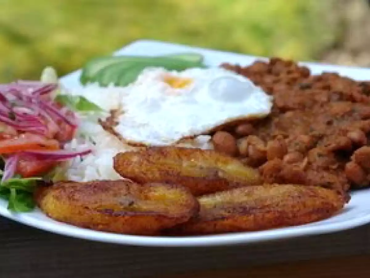 Frijoles/alubias/porotos cremosos